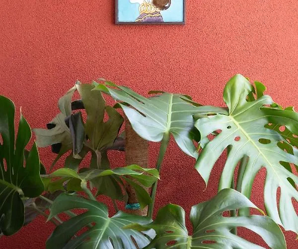 Apartament Aconchegante No Centro Do Porto