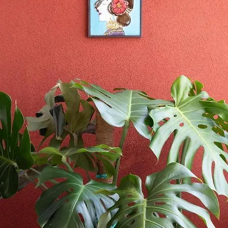 Appartement Aconchegante No Centro Do Oporto